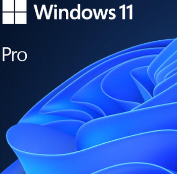 Microsoft Windows 11 Pro 64Bit inkl. DVD Englisch 