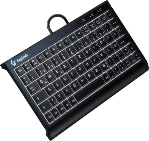 KeySonic KSK-3011ELC (DE) Tastatur USB QWERTZ Deutsch Schwarz