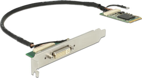 DeLOCK 9525 Schnittstellenkarte/Adapter Eingebaut DVI-I