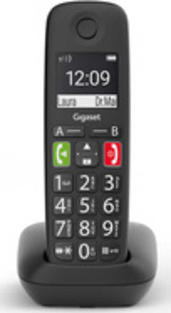 Gigaset E290 schwarz Analogtelefon &lpar;schnurlos&rpar;