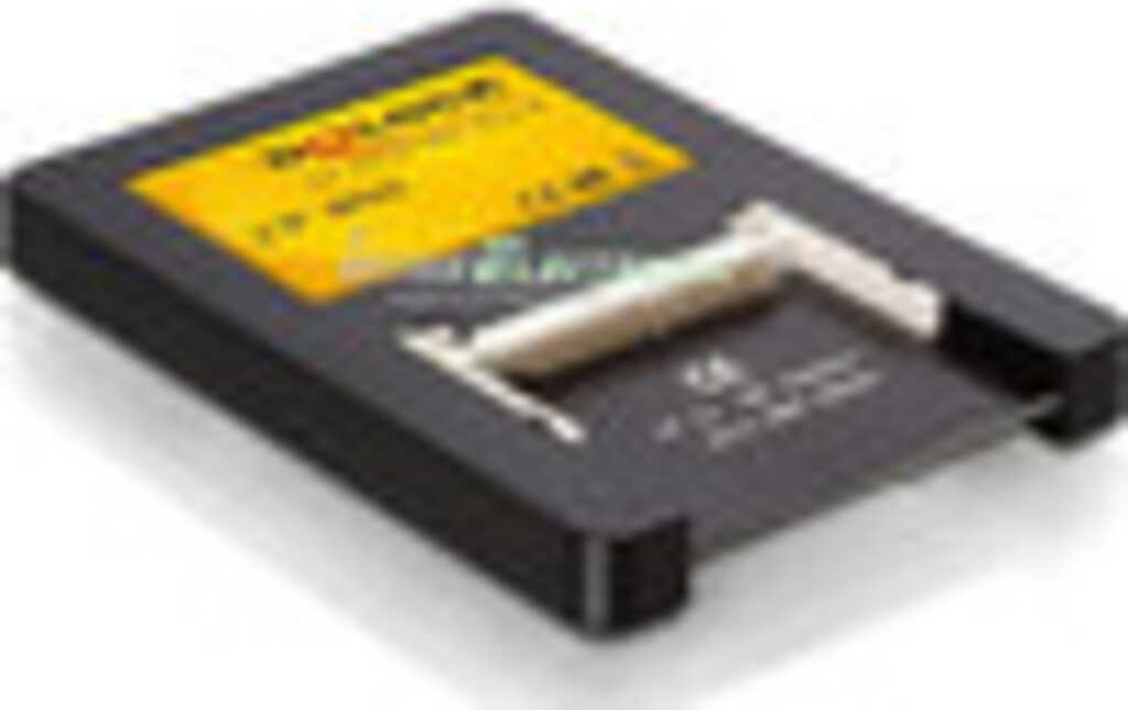 Delock Card Reader IDE auf 2 x Compact Flash Card