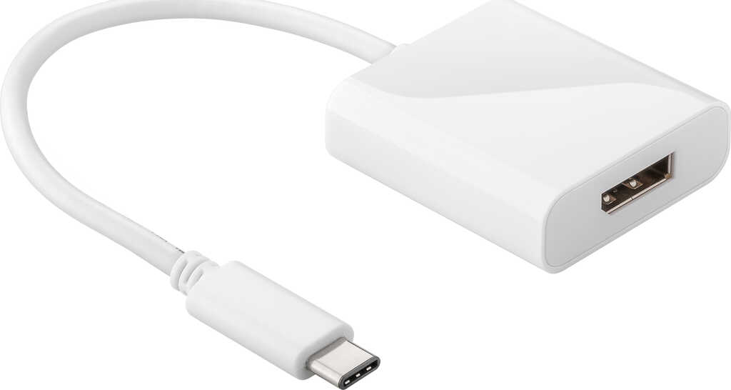 Adapter USB-C &gt; DisplayPort