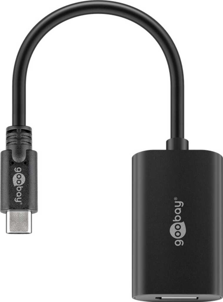 0&comma;2m USB-C auf DisplayPort Adapter