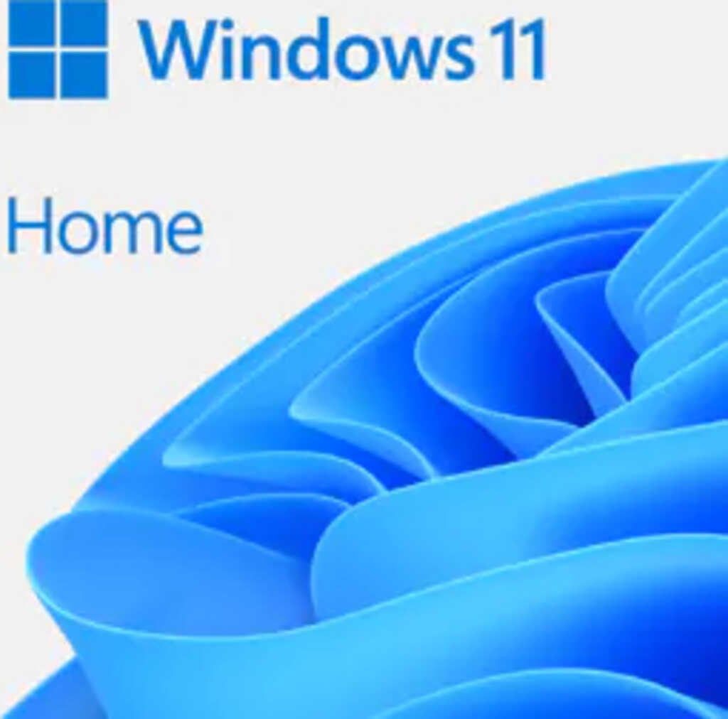 Microsoft Windows 11 Home 64Bit&comma; DSP&sol;SB&comma; USB-Stick &lpar;deutsch&rpar;