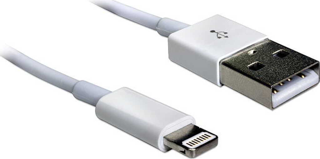 DeLock USB Daten- und Ladekabel &gt; 8 Pin f&uuml;r IPhone 5