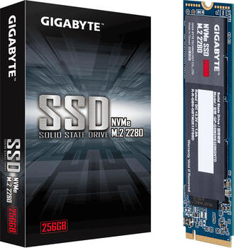 256 GB SSD Gigabyte NVMe SSD M.2 2280, M.2/M-Key (PCIe 3.0 x4), lesen: 1700MB/s, schreiben: 1100MB/s, TBW: 300TB