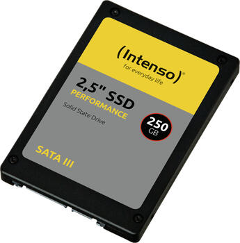250 GB SSD Intenso Performance SSD, SATA 6Gb/s, lesen: 550MB/s, schreiben: 500MB/s SLC-Cached, TBW: 120TB
