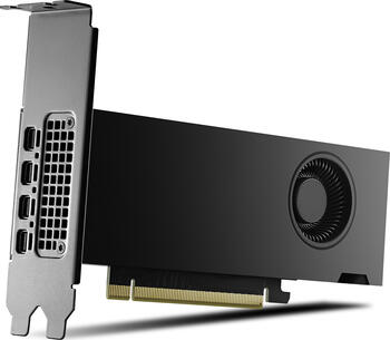 PNY RTX 2000 Ada Generation&comma; 16GB GDDR6&comma; 4x mDP&comma; Smallbox