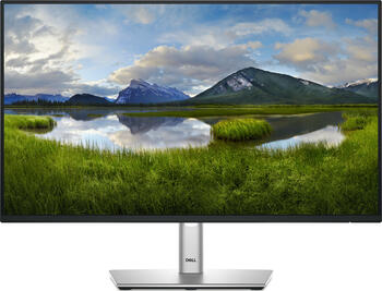 23&period;8 Zoll Dell P2425H&comma; 60&period;5cm TFT&comma; 100Hz 5ms &lpar;Fast&rpar;&comma; 8ms &lpar;Normal&rpar;&comma; 1x DisplayPort 1&period;2&comma; 1x HDMI