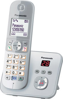 Panasonic KX-TG6821GS silber, Schnurlostelefon mit AB (30 Min.) Farbdisplay Smart-Taste für AB-Abfragen