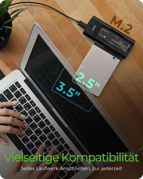 RaidSonic Icy Box IB-180MS-C31&comma; USB-C 3&period;1 Dockingstation