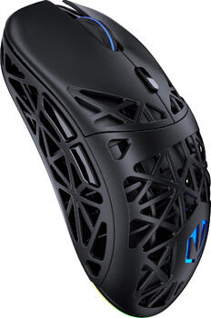 ENDORFY LIV Plus Wireless, Maus ENDORFY LIV Plus Wireless, Maus