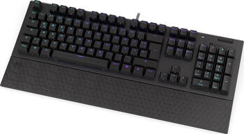 ENDORFY Omnis, Layout: DE, mechanisch, Kailh RED, RGB, Gaming-Tastatur ENDORFY Omnis, Layout: DE, mechanisch, Kailh RED, RGB, Gaming-Tastatur