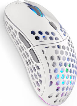ENDORFY LIX Wireless Onyx White RGB&comma; Maus kabellos &lpar;2&period;40GHz&rpar; oder kabelgebunden &lpar;1&period;6m&rpar;&comma; USB-A 2&period;0