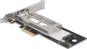 Delock Wechselrahmen PCI Express Karte für 1 x M.2 NMVe SSD Low Profile Formfaktor