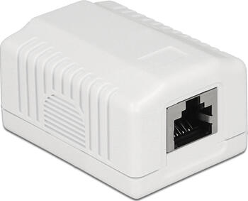Delock Netzwerk Anschlussdose 1 Port Cat&period;6A LSA