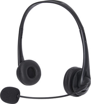 Sandberg 126-12 USB Headset, On-Ear, Bulk 
