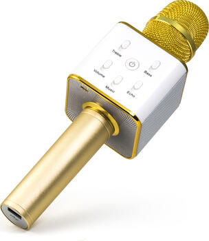 Technaxx MusicMan Karaoke BT-X31 gold Mikrofon 