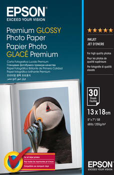 EPSON Fotopapier C13S042154 glossy 
