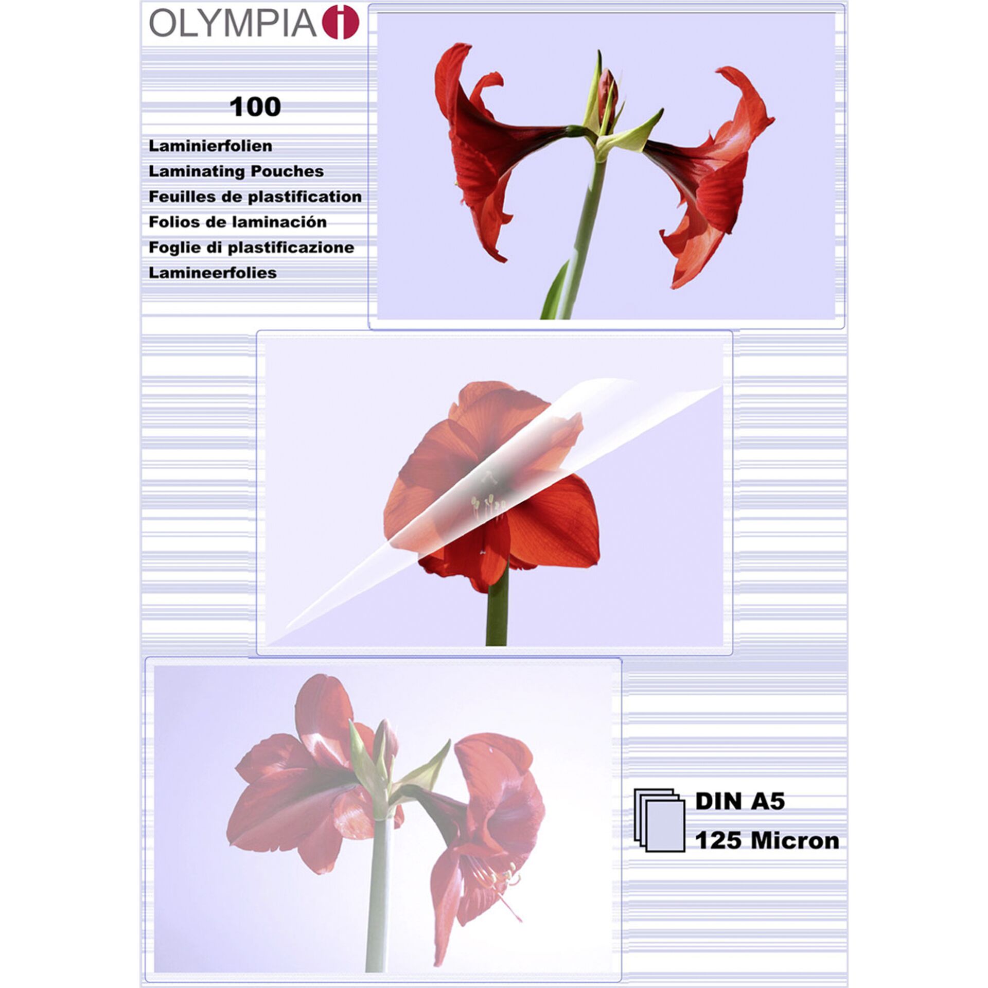 Olympia 1x100 Laminierfolien DIN A 5 