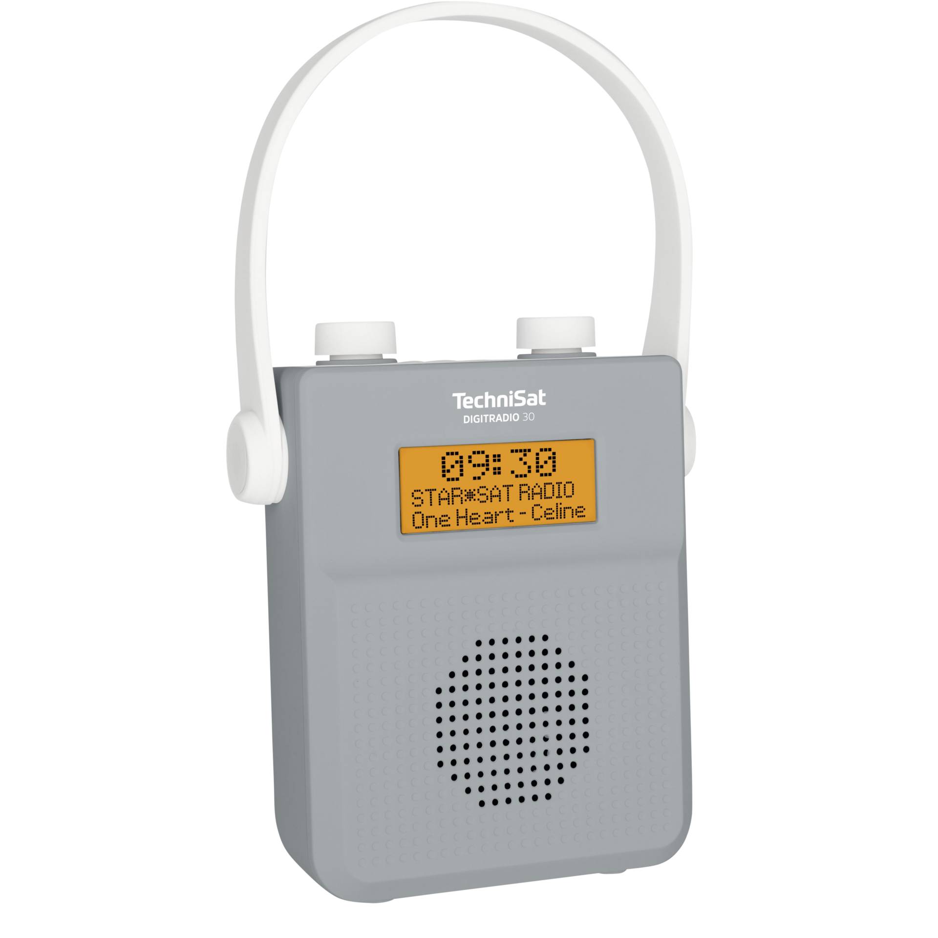 TechniSat Digitradio 30 Tragbar Digital Grau