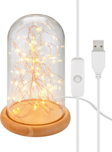 Goobay Glasglocke mit LED-Micro-Lichterkette mit Holzsockel, USB-Kabel 115 cm, Lichterkette 5 m mit 50