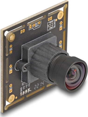 DeLOCK 12069 Webcam 2,1 MP 1920 x 1080 Pixel USB 2.0 Schwarz