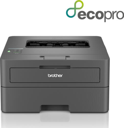 Brother HL-L2400DWE Laser-Drucker 1200