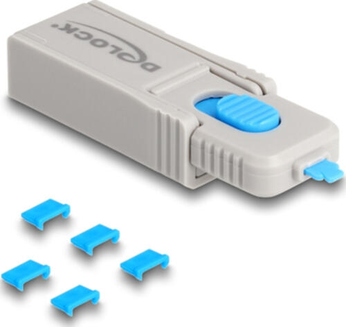 DeLOCK 20925 Schnittstellenblockierung Schnittstellenblockierung + Schlüssel Mikro-USB Blau, Grau Kunststoff 5 Stück(e)