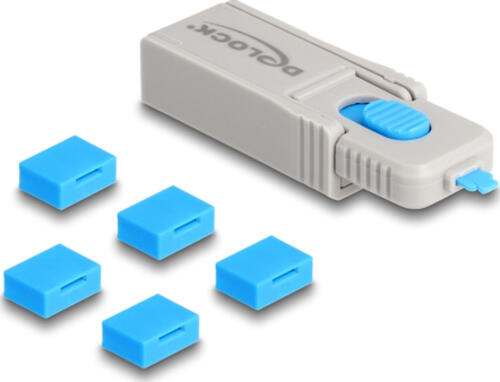 DeLOCK 20923 Schnittstellenblockierung Schnittstellenblockierung + Schlüssel USB Typ-A Blau, Grau Kunststoff 6 Stück(e)
