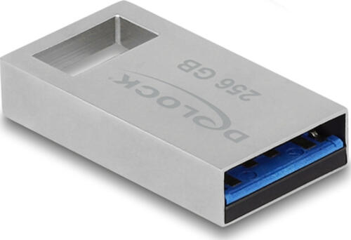 DeLOCK 54006 USB-Stick 256 GB USB Typ-A 3.2 Gen 1 (3.1 Gen 1) Grau