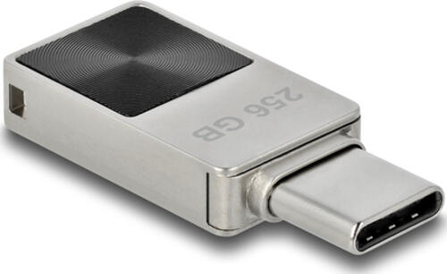 DeLOCK 54009 USB-Stick 256 GB USB Typ-C 3.2 Gen 1 (3.1 Gen 1) Schwarz, Grau