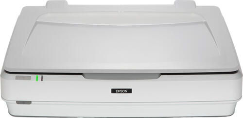 Epson Expression 13000XL Flachbettscanner 2400 x 4800 DPI A3 Weiß