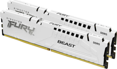 Kingston Technology FURY Beast 64 GB