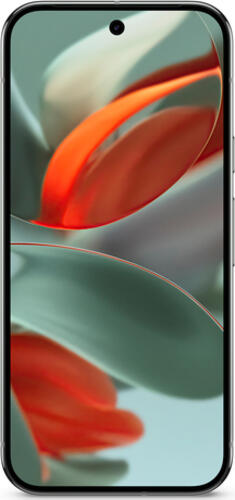 Google Pixel 9 Pro XL 17,3 cm (6.8)
