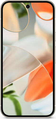 Google Pixel 9 16 cm (6.3) Dual-SIM