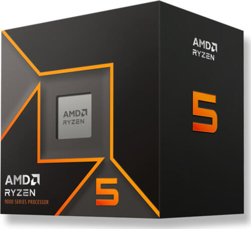 AMD Ryzen 5 9600 Prozessor 3&comma;8 GHz 32 MB L3 Box