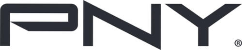 PNY Elite-X Fit Type-C USB 3.2 64GB Flash Drive