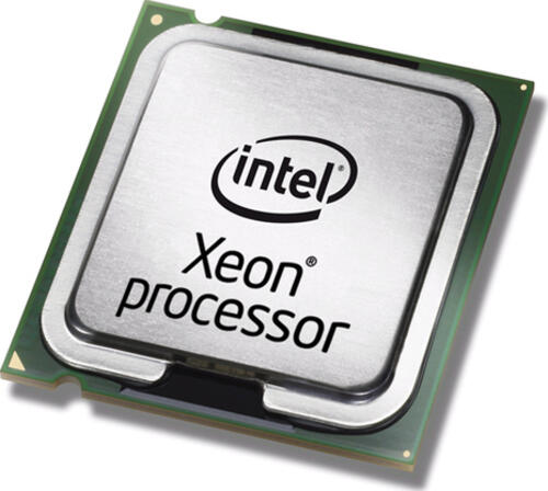 Fujitsu Xeon E3-1225 v3 Prozessor 3,2 GHz 8 MB L3