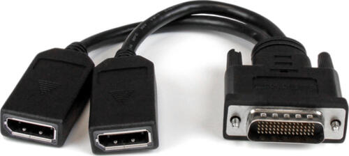 StarTech.com 20cm LFH 59 auf Dual DisplayPort DMS 59 Kabel - St/Bu