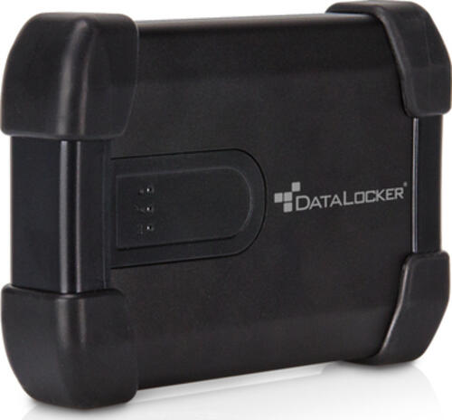 DataLocker H300 Enterprise Externe Festplatte 2 TB Schwarz