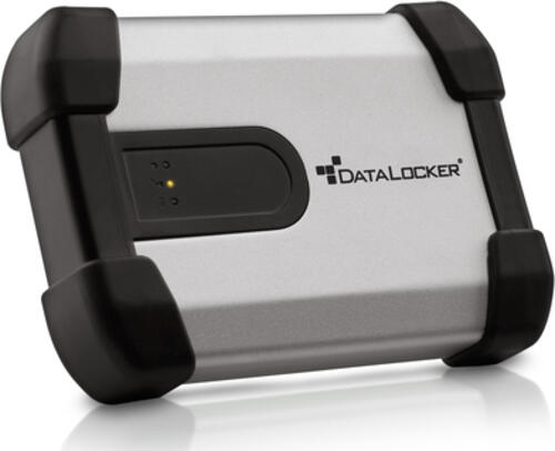 DataLocker H350 Basic Externe Festplatte 500 GB Aluminium, Schwarz