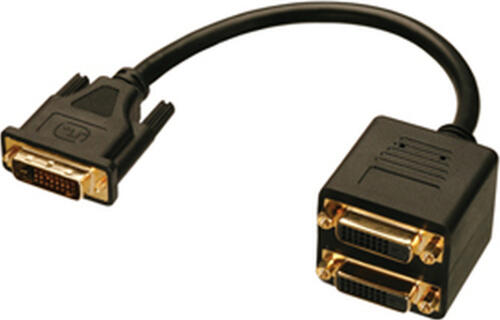 Lindy DVI Splitter Cable DVI-Kabel 0,18 m DVI-D Schwarz