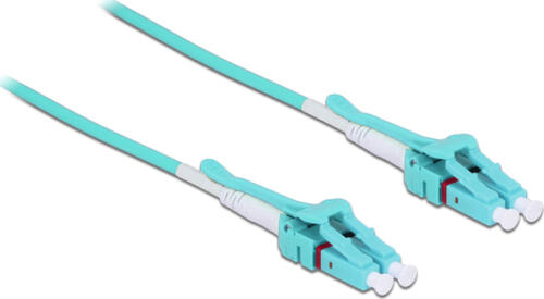DeLOCK 85129 InfiniBand/fibre optic cable 3 m LC OM3 Blau