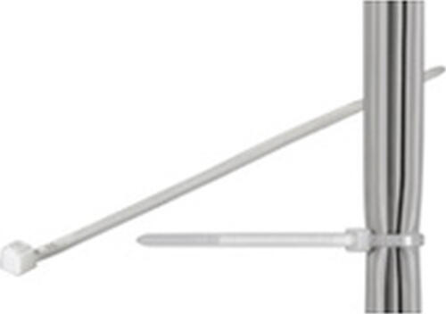 Goobay Kabelbinder, wetterfester Nylon 2,5 mm breit und 200 mm lang, transparent-weiß