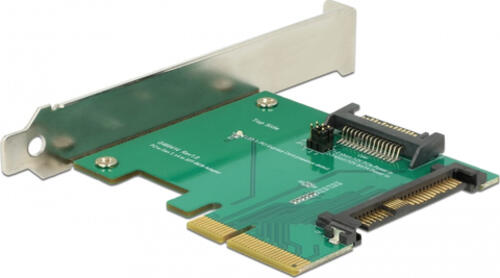 DeLOCK 89673 Schnittstellenkarte/Adapter Eingebaut PCI, SATA, U.2