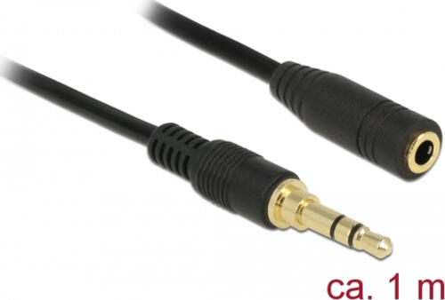 DeLOCK 85576 Audio-Kabel 1 m 3.5mm Schwarz