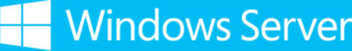 Microsoft Windows Server Standard 2019 1 Lizenz(en)
