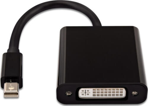 V7 Videoadapter Mini-DisplayPort (m) auf DVI-D (m), schwarz