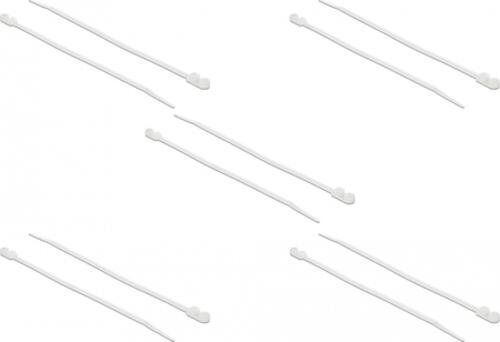 DeLOCK 18946 Kabelbinder Kabelbinder mit paralleler Einführung Polyamid Weiß 10 Stück(e)